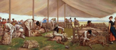 The Sheep Shearing Match, 1875 by Eyre Crowe
